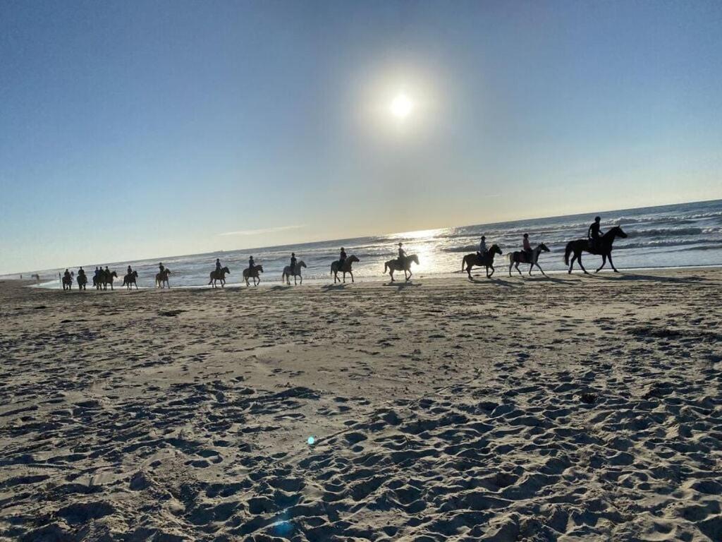 Zeeland - I *